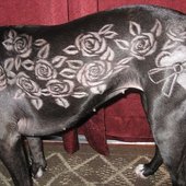 janet818.bandcamp.com