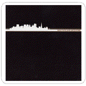 Wasted Skylines