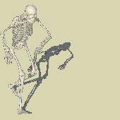 in_a_tomb 的头像