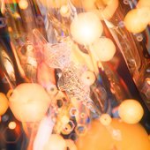 夜風のリズム