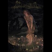 Wiltress (Queen of Flowers) - Single