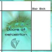 Doors of perception