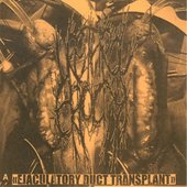 Ejaculatory Duct Transplant