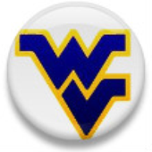 Avatar for wvbeetlebug