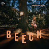 Beech