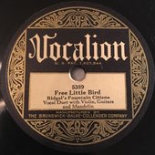 pre-war-vocalion-5389-ridgel-s-fountain-citians-rare-knoxville-session-record-ex_29095802.jpg