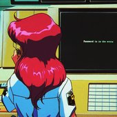 Password is in the wrong