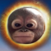 Bigmoneyjared 的头像