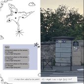 a long form attack on the senses, or i thought i was a high flying bird