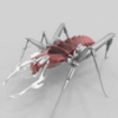 bug0r için avatar