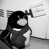 Avatar for SlashSD1