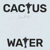 Cactus Water