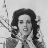 Wonderful Wanda