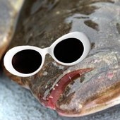 Boolus Profile Picture