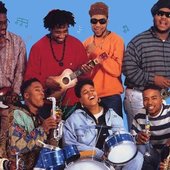 Native Tongues