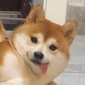 keshq 的头像