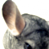 Avatar for treyneely