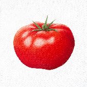 Sezon pomidorowy