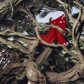 Nested in Tangles