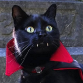 hellsbats 的头像