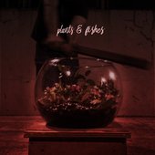 Plants & Fishes