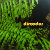 discodor.jpg