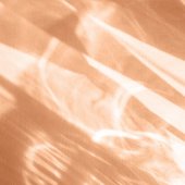 Silhouettes In Still Water