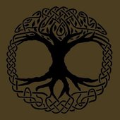 outward roots ...☺---.jpg