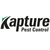 Avatar for kapturepest