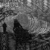 Visual Echo