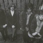 The Nuthins