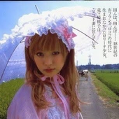 noodletears 的头像