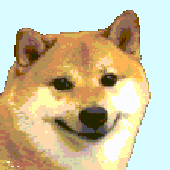 dogto 的头像
