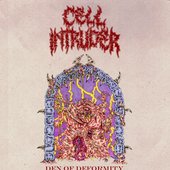 Blunt Force Cranial Dissection - Single