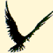 Awatar dla globule69