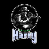 HarryParmen 的头像
