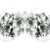 Avatar di conboyQ