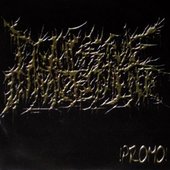 Promo 2008