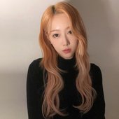 dongie3