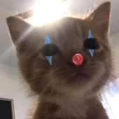 gabrieljake 的头像