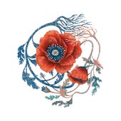 Avatar for arcalandir