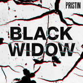 Black Widow (Remix Ver.).png