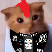 Avatar for MiharuGMOD