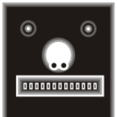 DarkAvanger 的头像