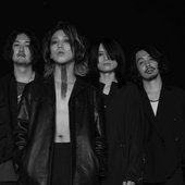 the novembers