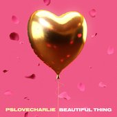 Beautiful Thing - Single