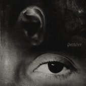 petrichor