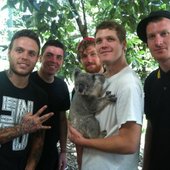 STYG + Koala