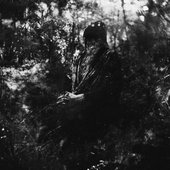 IMG_3999.jpeg