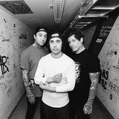 IMG_3335.jpeg